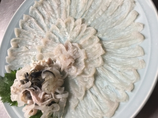 活〆　トラフグ てっちりコース